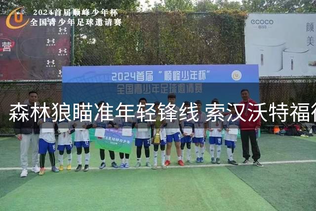 森林狼瞄准年轻锋线 索汉沃特福德成潜在补强目标