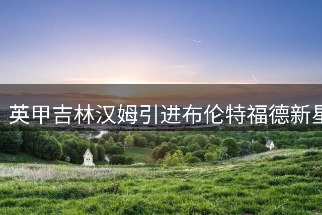 英甲吉林汉姆引进布伦特福德新星 爱尔兰U21国脚加盟