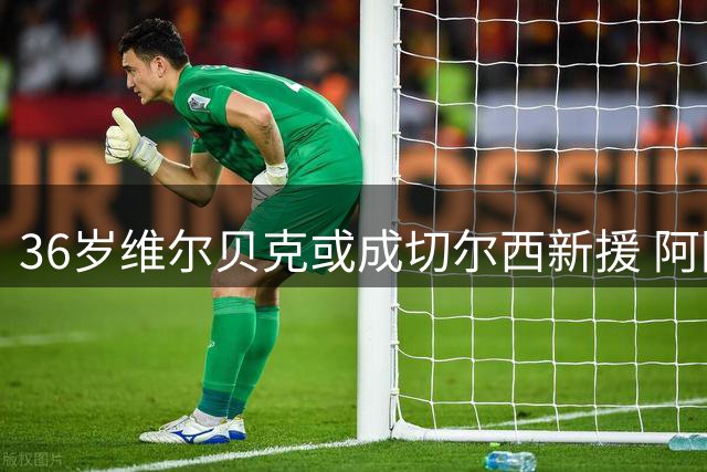 36岁维尔贝克或成切尔西新援 阿隆索执教首季务实引援引关注