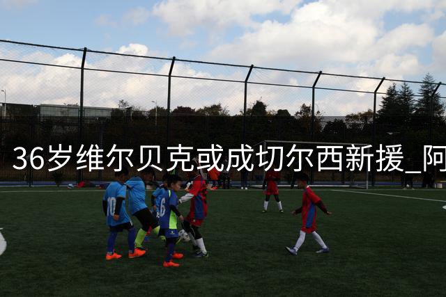 36岁维尔贝克或成切尔西新援 阿隆索执教首季务实引援引关注